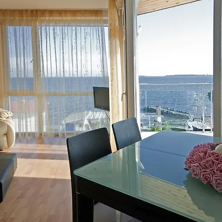 Nushev سفيتي فلاس