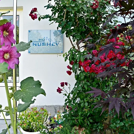 Nushev فندق