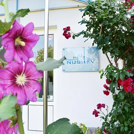 Nushev ホテル スヴェティ・ヴラス
