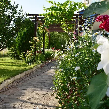 Nushev ホテル スヴェティ・ヴラス