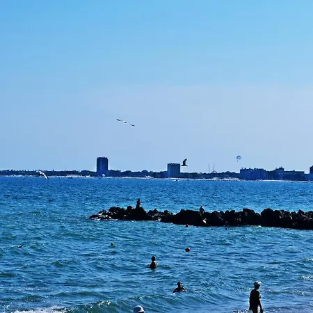 Nushev 2* スヴェティ・ヴラス