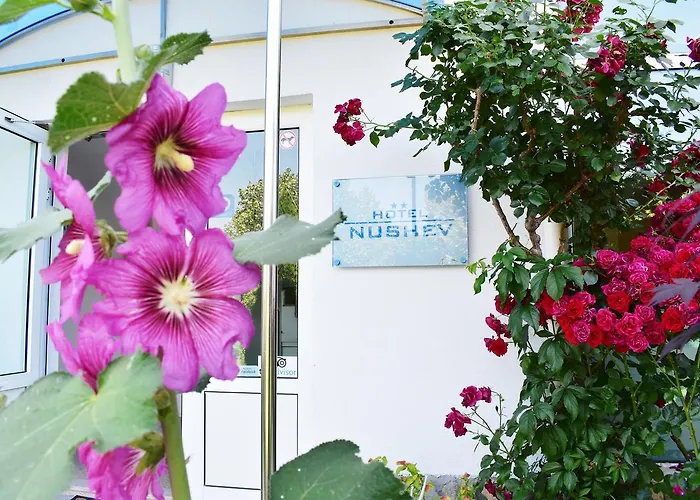 Nushev Hotel Sveti Vlas