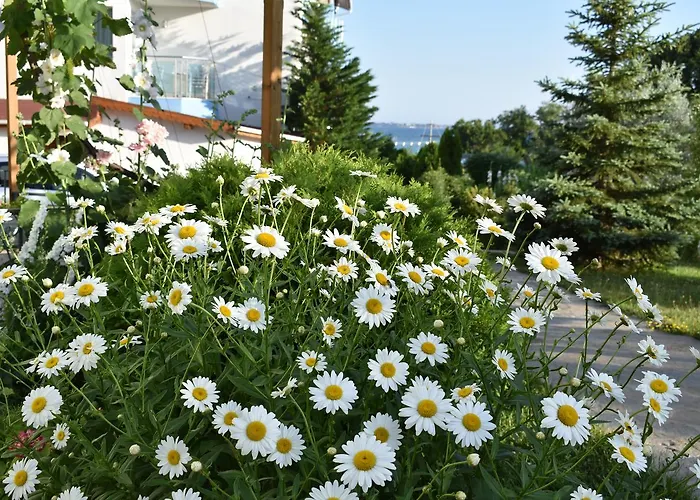 Nushev 2* Sveti Vlas